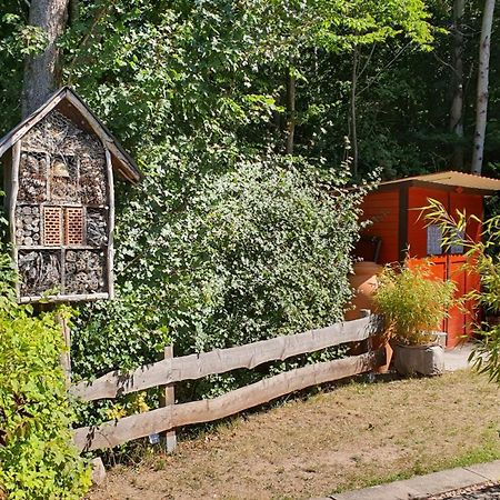 Ferienhaus Am Wald Ronshausen ภายนอก รูปภาพ
