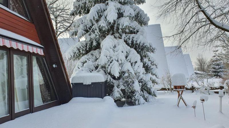 Ferienhaus Am Wald Ronshausen ภายนอก รูปภาพ