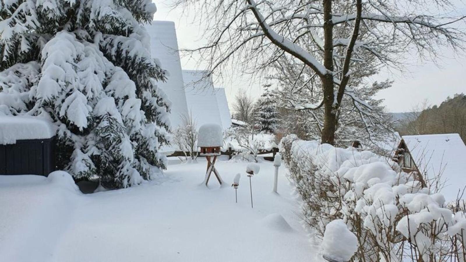 Ferienhaus Am Wald Ronshausen ภายนอก รูปภาพ