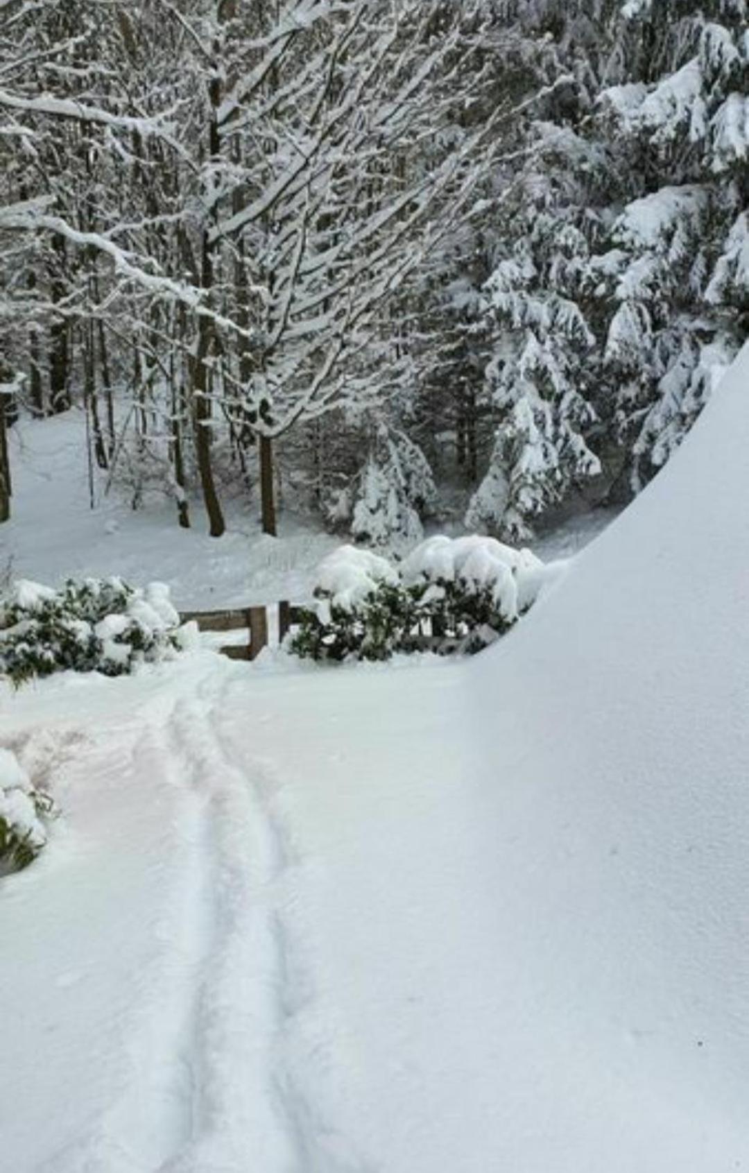 Ferienhaus Am Wald Ronshausen ภายนอก รูปภาพ